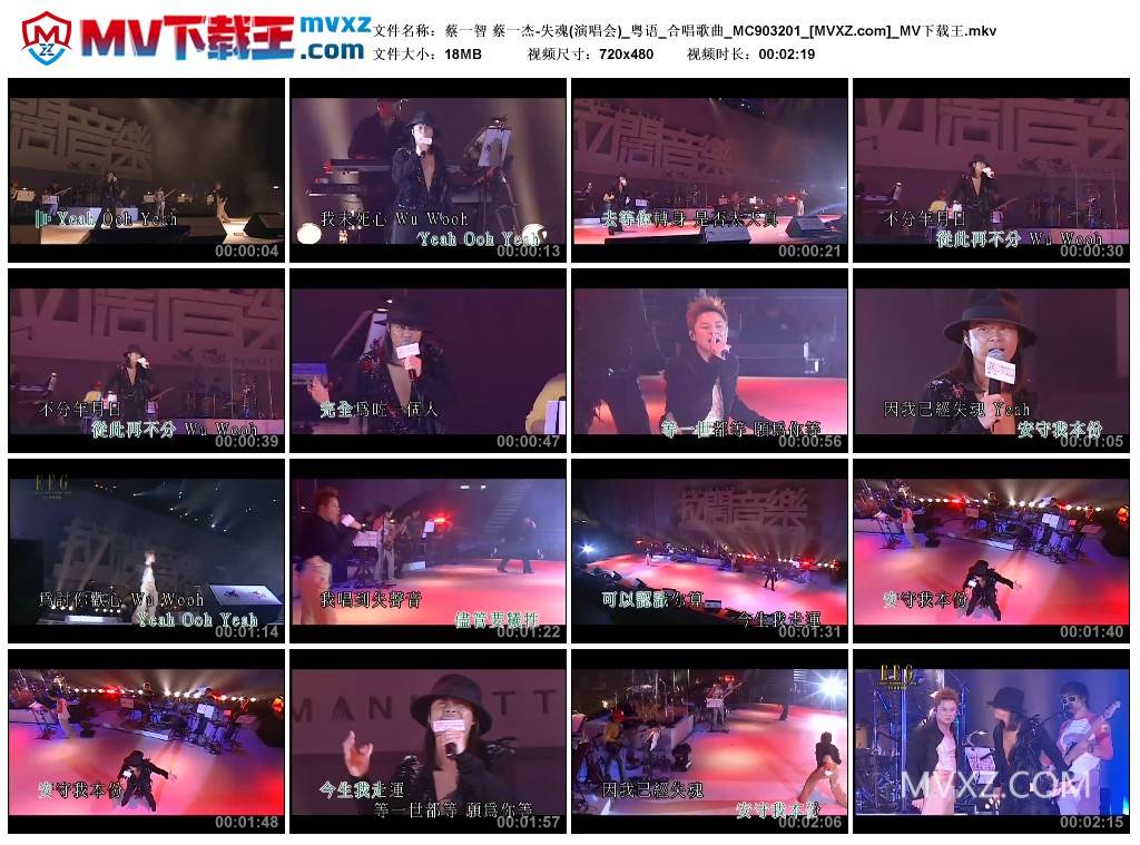 蔡一智 蔡一杰-失魂(演唱会)_粤语_合唱歌曲_MC903201